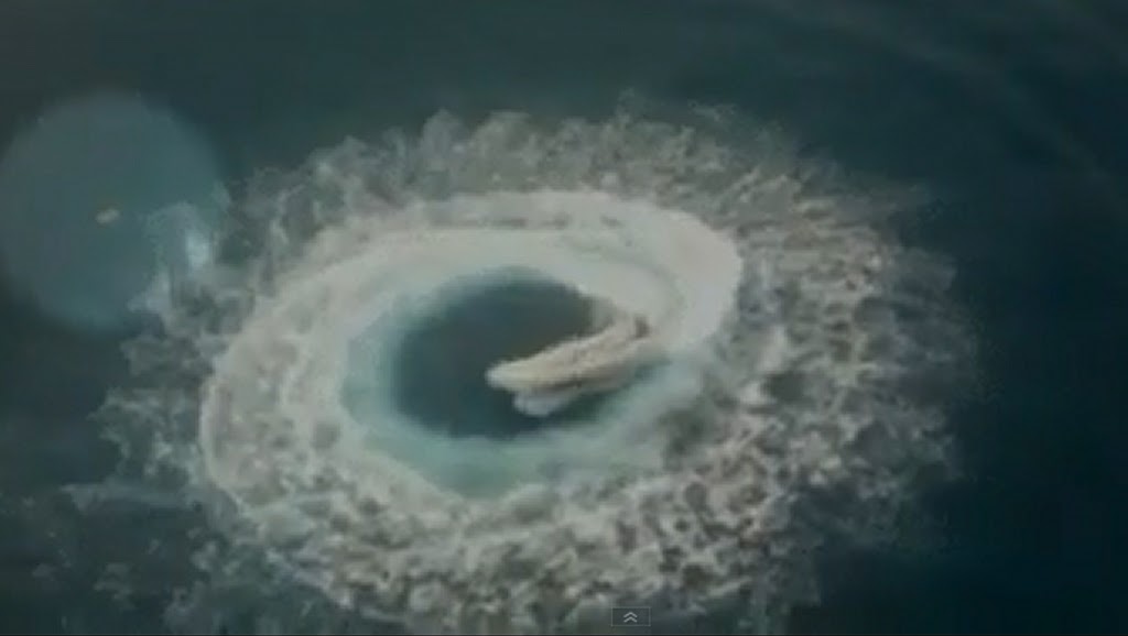Άνθρωπος στη θάλασσα σώθηκε απο θαύμα! [βίντεο] - e-Nautilia.gr | Το Ελληνικό Portal για την Ναυτιλία. Τελευταία νέα, άρθρα, Οπτικοακουστικό Υλικό
