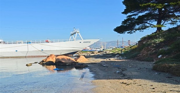 Δένουν τους κάβους των φέρι μπόουτ σε δέντρα στη Σαλαμίνα! - e-Nautilia.gr | Το Ελληνικό Portal για την Ναυτιλία. Τελευταία νέα, άρθρα, Οπτικοακουστικό Υλικό