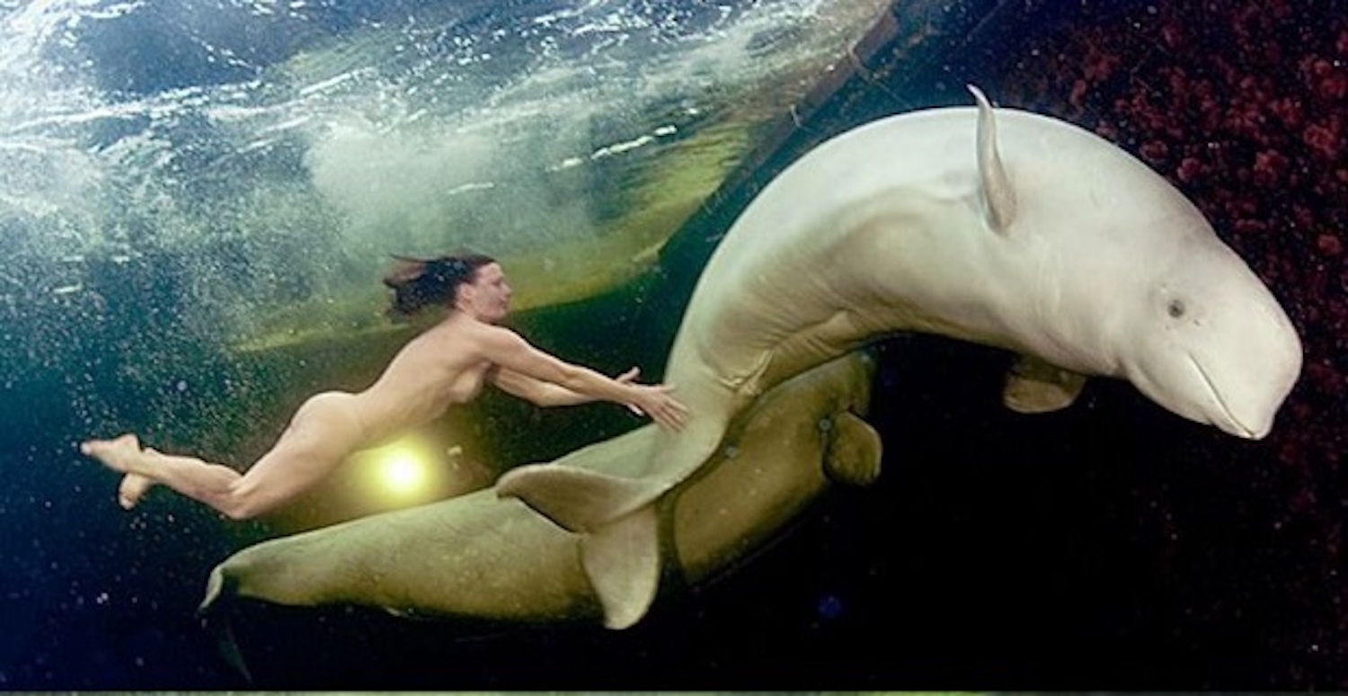 Η Ρωσίδα επιστήμονας που κολυμπά γυμνή διπλα στις λευκές φάλαινες (video) - e-Nautilia.gr | Το Ελληνικό Portal για την Ναυτιλία. Τελευταία νέα, άρθρα, Οπτικοακουστικό Υλικό