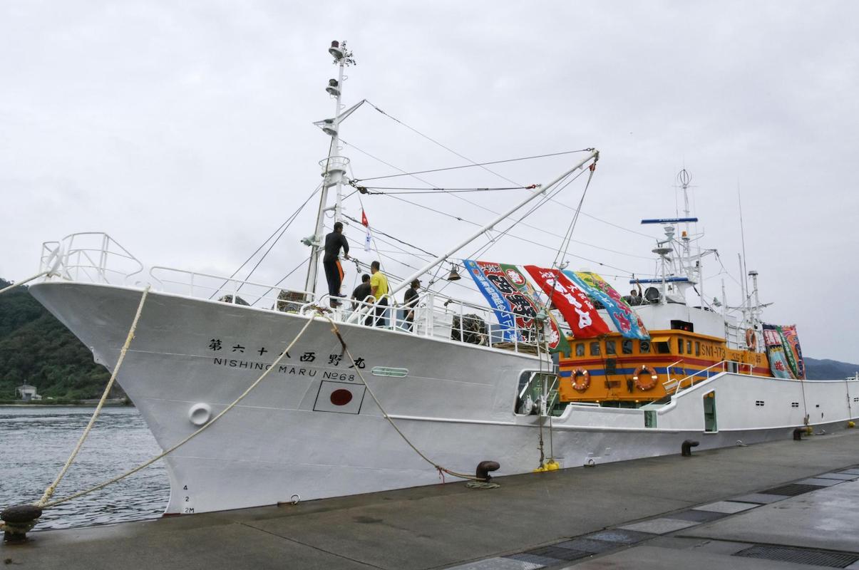 Σύγκρουση ιαπωνικού ψαροκάικου με ρωσικό φορτηγό πλοίο- 3 νεκροί - e-Nautilia.gr | Το Ελληνικό Portal για την Ναυτιλία. Τελευταία νέα, άρθρα, Οπτικοακουστικό Υλικό