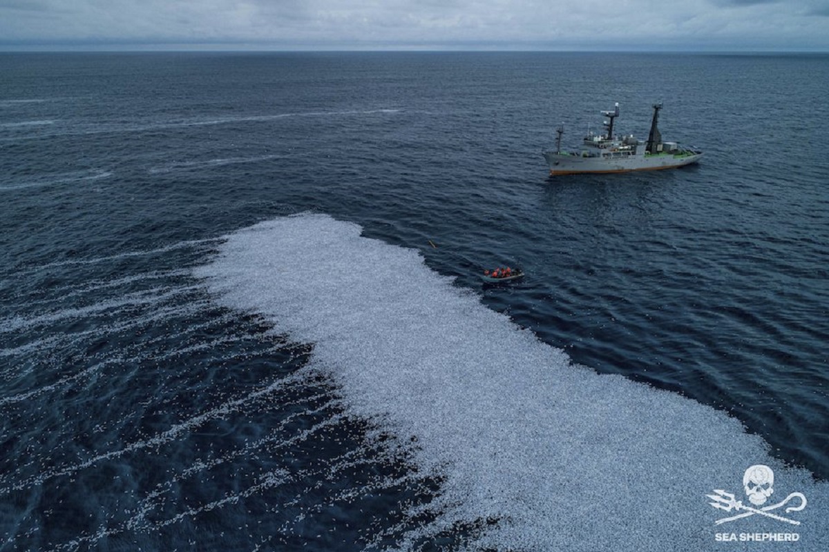 Σοκαριστικές εικόνες: 100,000 νεκρά ψάρια έριξε στον Ατλαντικό η δεύτερη μεγαλύτερη μηχανότρατα στον κόσμο FV Margiris - e-Nautilia.gr | Το Ελληνικό Portal για την Ναυτιλία. Τελευταία νέα, άρθρα, Οπτικοακουστικό Υλικό