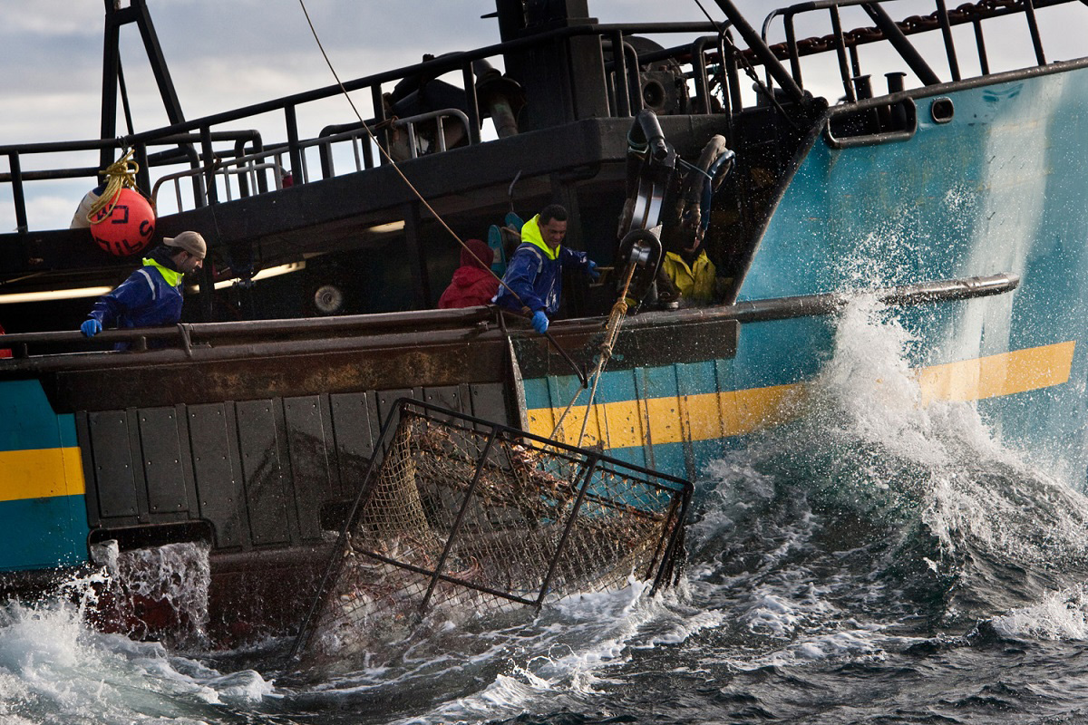 Χριστουγεννιάτικο δώρο: Ρωσικό αλιευτικό σκάφος προσάραξε αφήνοντας 15 τόνους καβούρια για τους ντόπιους! - e-Nautilia.gr | Το Ελληνικό Portal για την Ναυτιλία. Τελευταία νέα, άρθρα, Οπτικοακουστικό Υλικό