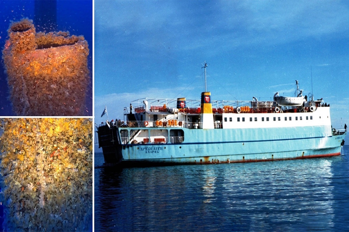 Το ναυάγιο του «Χρυσή Αυγή» εντοπίστηκε στο Κάβο Ντόρο - e-Nautilia.gr | Το Ελληνικό Portal για την Ναυτιλία. Τελευταία νέα, άρθρα, Οπτικοακουστικό Υλικό