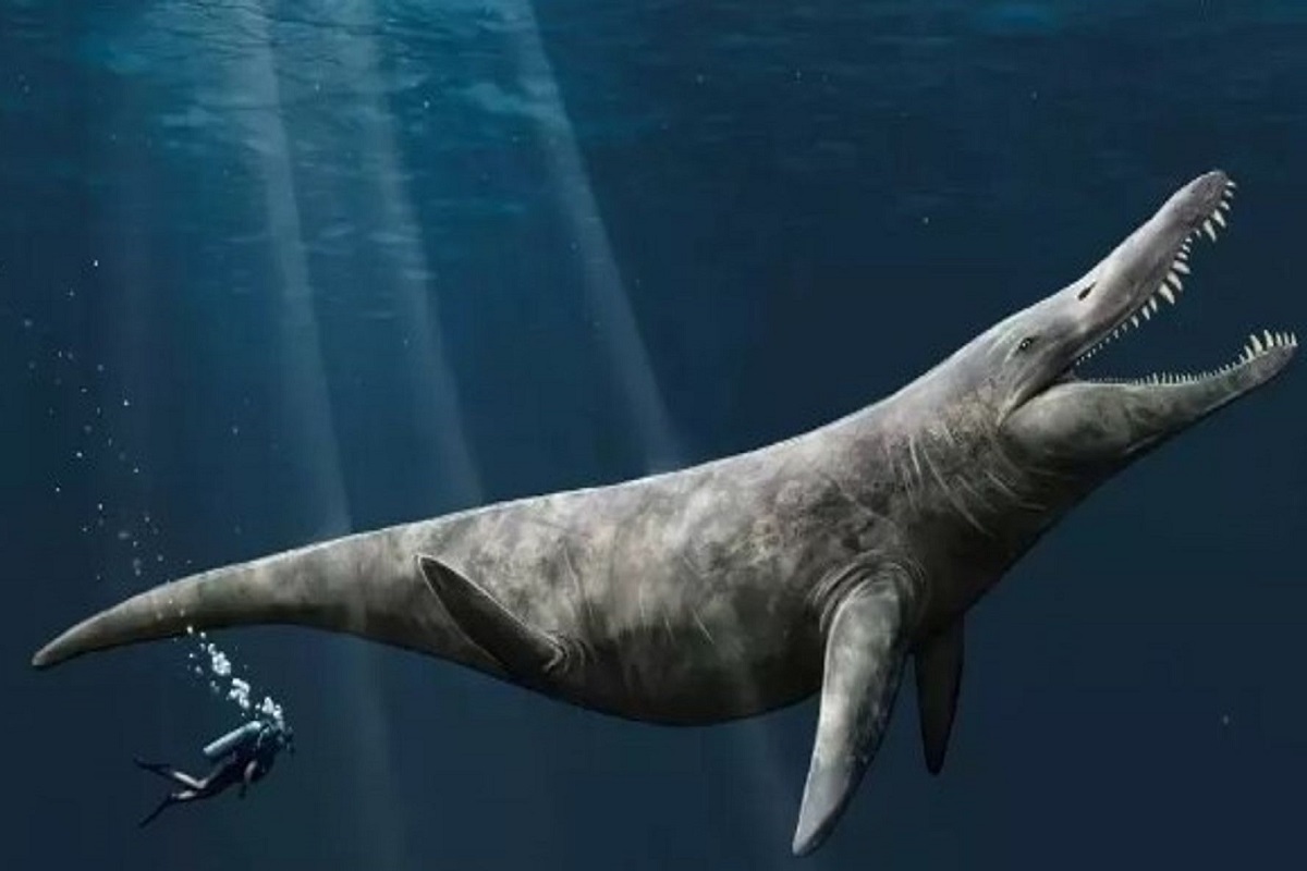Ανακάλυψαν τυχαία τεράστιο προϊστορικό θαλάσσιο τέρας, είχε διπλάσιο μέγεθος από φάλαινα δολοφόνο - e-Nautilia.gr | Το Ελληνικό Portal για την Ναυτιλία. Τελευταία νέα, άρθρα, Οπτικοακουστικό Υλικό