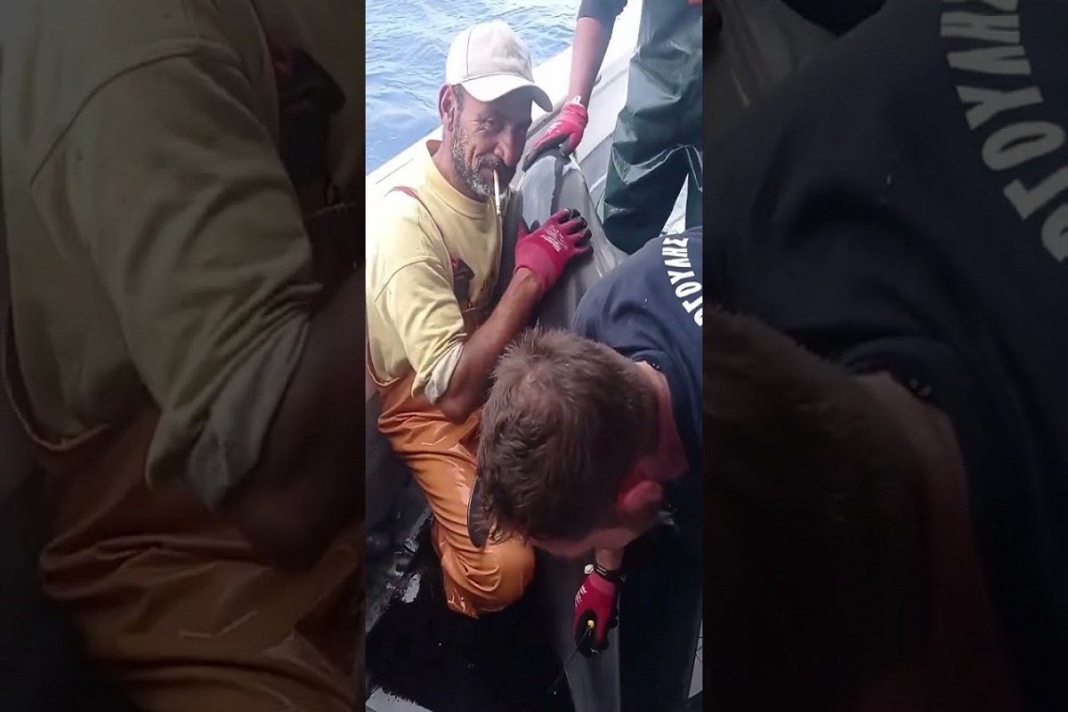 Καλύμνιος ψαράς απελευθερώνει ένα πανέμορφο δελφίνι, που παγιδεύτηκε στα παραγάδια του (video) - e-Nautilia.gr | Το Ελληνικό Portal για την Ναυτιλία. Τελευταία νέα, άρθρα, Οπτικοακουστικό Υλικό