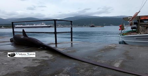 10001320_668487006545069_1007260159_n