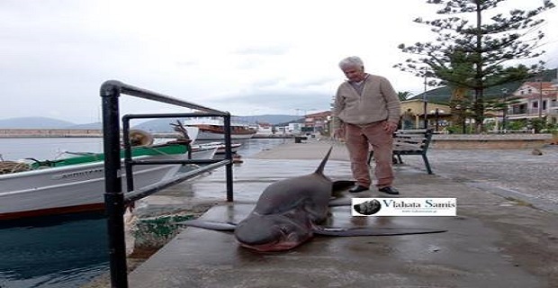 10003946_668487053211731_250005847_n