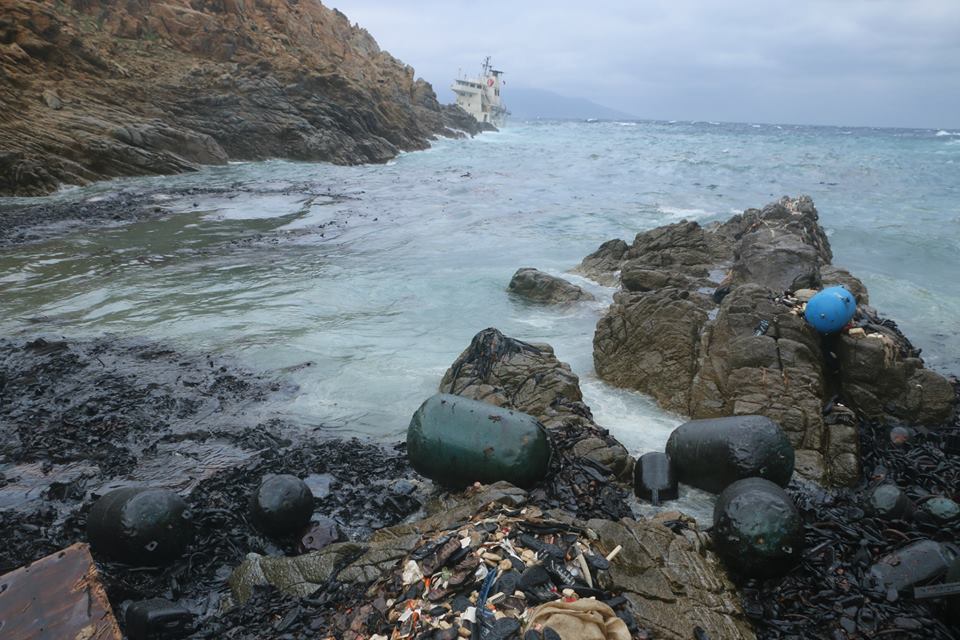 10009309_10152331529855086_1193851615_n