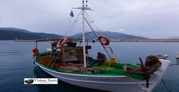 10152614_668486953211741_790451696_n