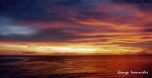 11224348_1648854448717083_7889883372312196108_o-1