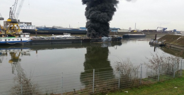 12494867_10204634683106870_6905744310895953104_n