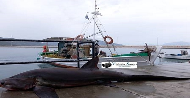 1506646_668487019878401_1461546855_n