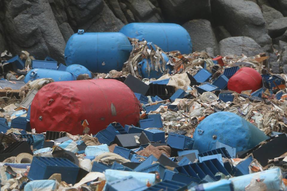 1511099_10152331527520086_1727255493_n