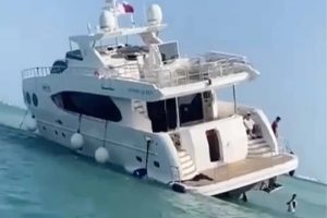 1775e260-6982-11ed-bfd9-f511278cd973-majesty-lusail-queen