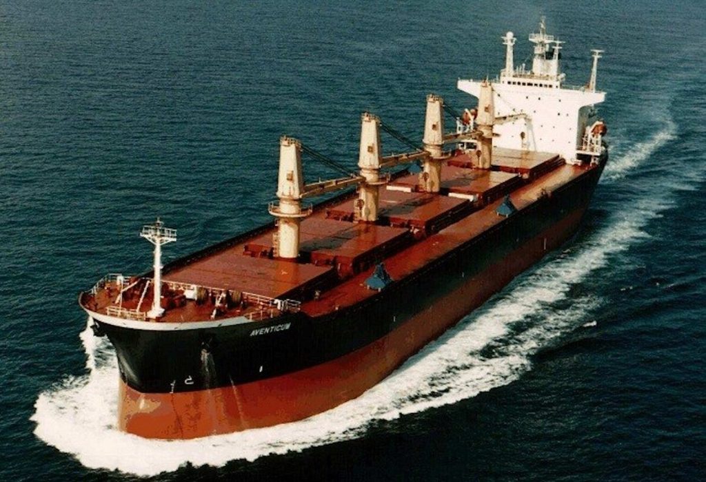 Ραγδαία ανάπτυξη τoυ στόλου των kamsarmaxes