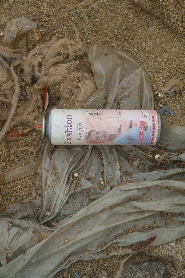 1920415_10152331526945086_1668014504_n