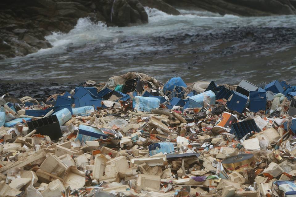 1975251_10152331530770086_1169891730_n