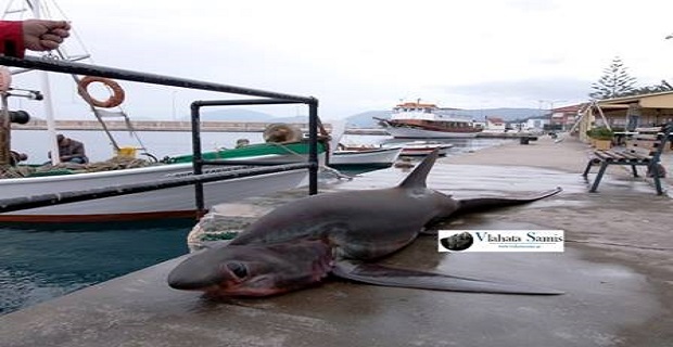 1978860_668486969878406_1023564910_n