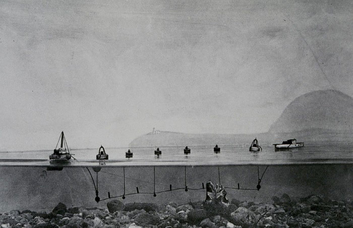 Τι είναι η CatZoc και ποιά η σημασία της στο πλάνο ταξιδίου