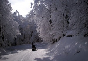 Οι χαμηλότερες θερμοκρασίες του φετινού χειμώνα
