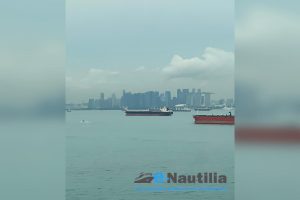 310173973_600021375237332_8355258270027845314_n