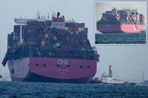 36632520-0-image-a-55_1607512798838