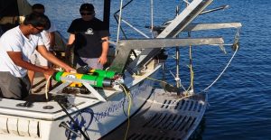 40632388_10155788462820878_8774875428499226624_n