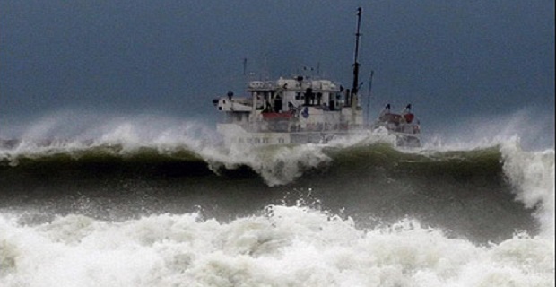 _44332943_varna416ap