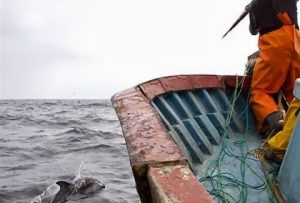 58d0255b5e8a09dd923c4f662462e085