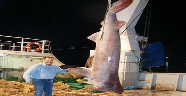 6917_PA068909_resize