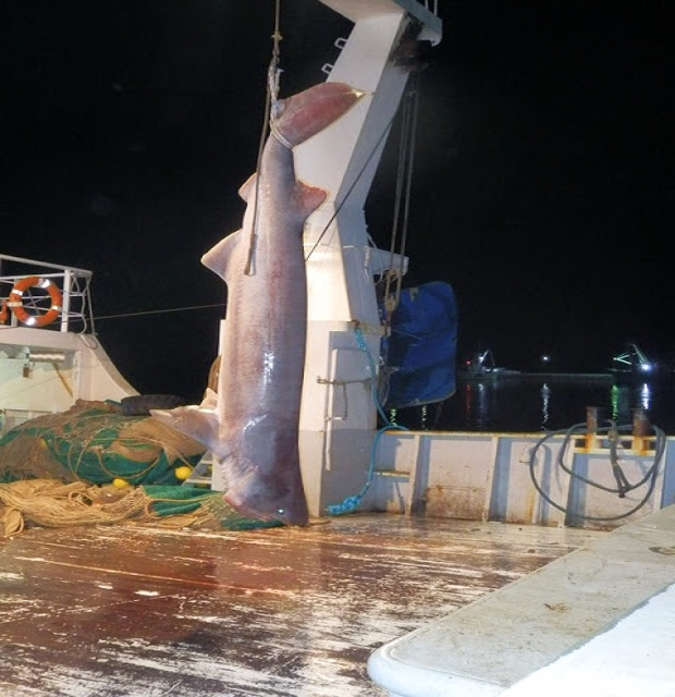 6919_PA068901_resize