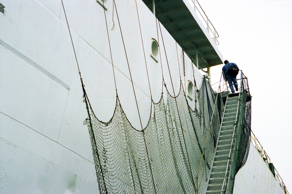933649_Scan_243_αs