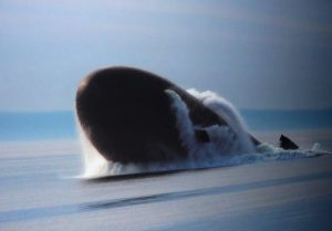 955-2Bborei-2Bsto-2Brwsiko-2Bpn