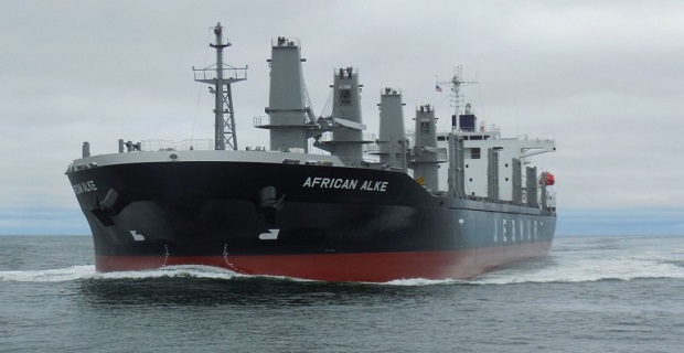 Africian_Alke