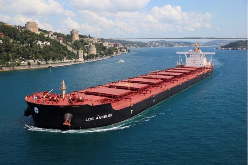 Η Diana Shipping έκλεισε νέα ναύλωση για το newcastlemax με την Koch