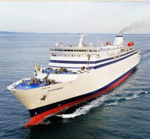 Golden-Bridge-1024x944-1