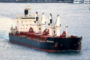Grebe_Bulker