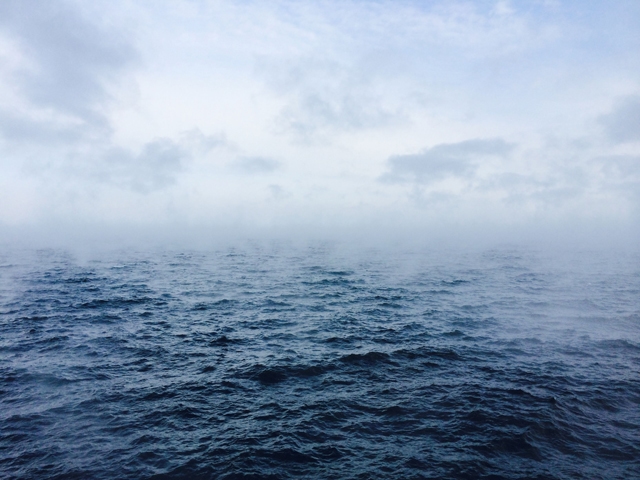 Jeff-Musk-Frenchman-Bay