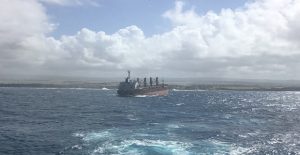 MV_Benita_anelkisi_done