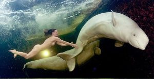 Natalia_Avseenko_nude_whale_scientist1-1