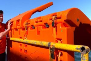 Palaemon-Maritime-780x470-1