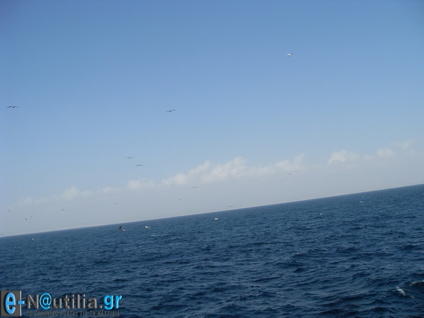 VLUU L110 / Samsung L110