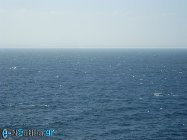 VLUU L110 / Samsung L110