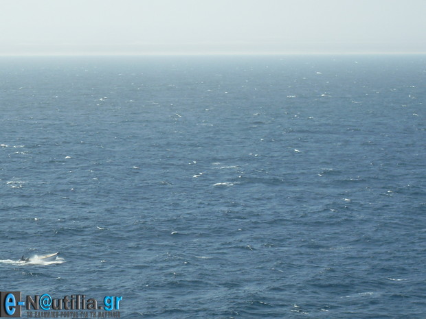 VLUU L110 / Samsung L110