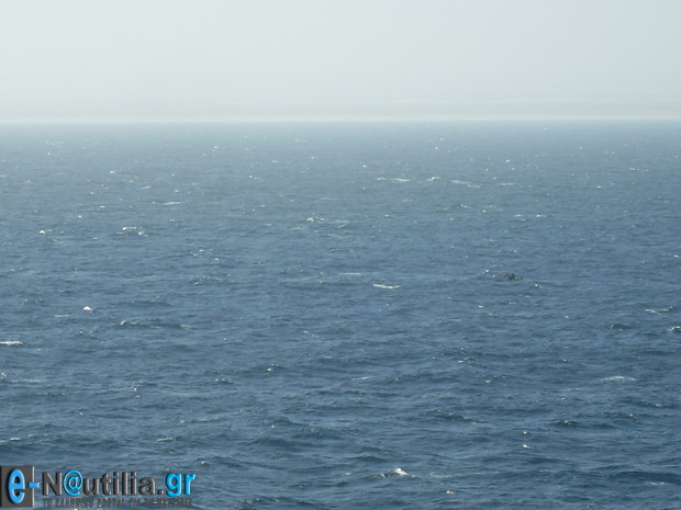 VLUU L110 / Samsung L110