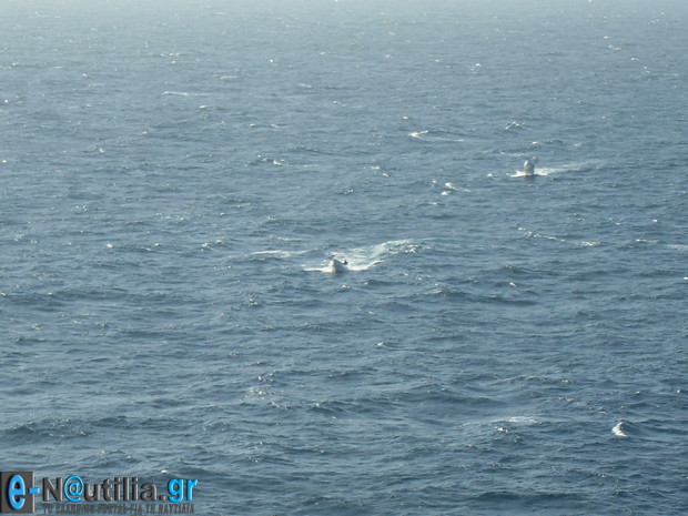 VLUU L110 / Samsung L110