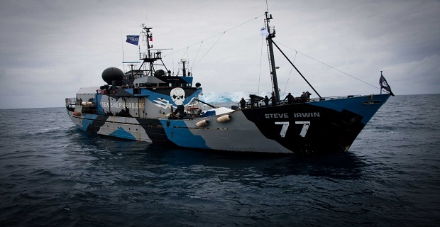 Sea_Shepherd