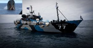 Sea_Shepherd1