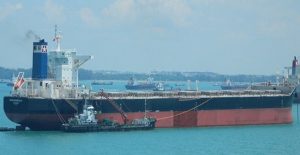 Star_Bulk_2