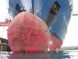 Whose-nose-is-better